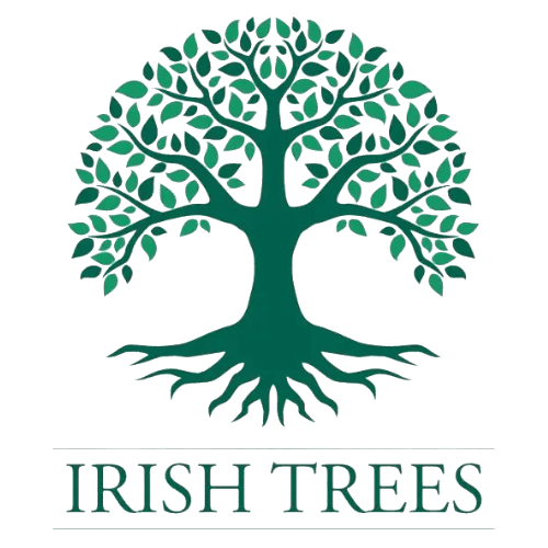 Irish Trees_new (1)